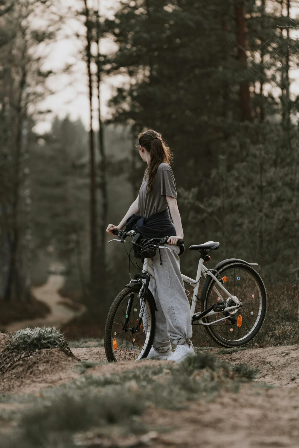 Stolen Bicycle — Trek FX 3, commuter build